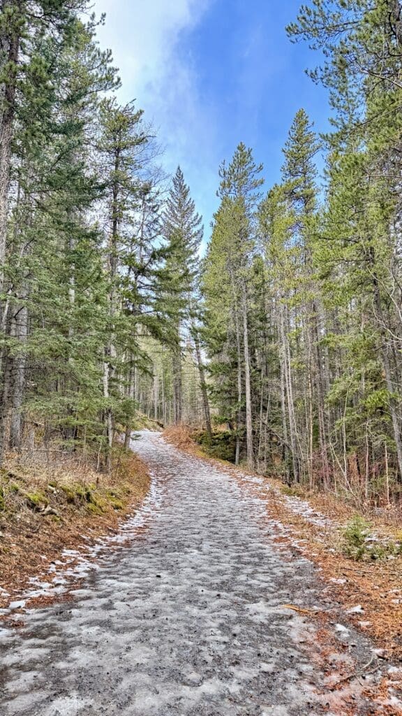 On the way to Heart Creek Bunker and the snow on the trail has nearly all melted