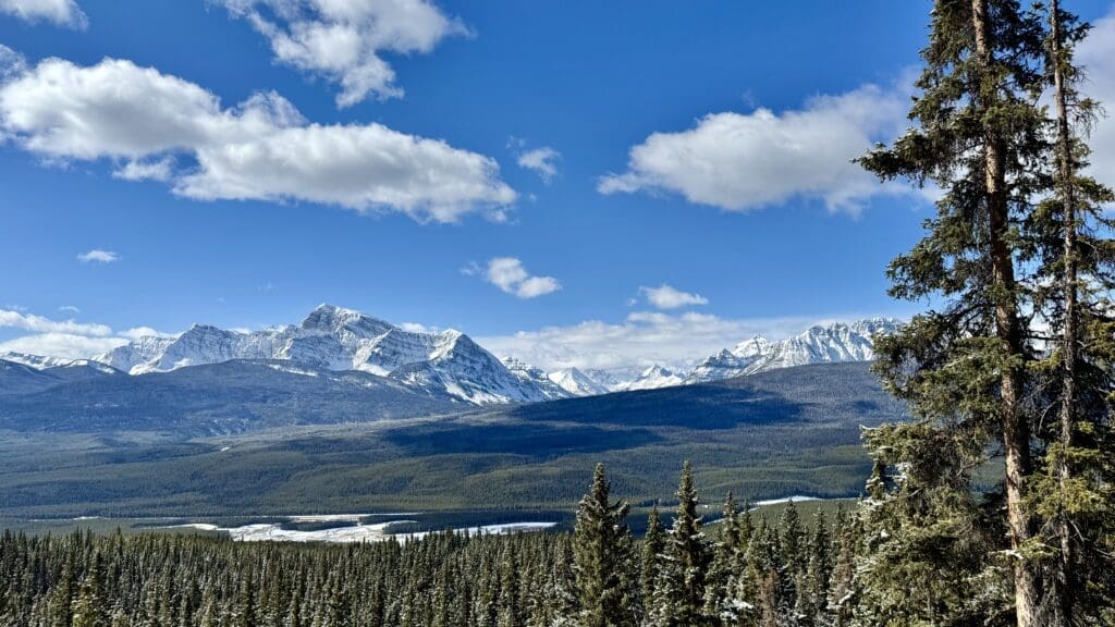 Panoramic view of snow-dusted peaks and a vast forested valley under a bright blue sky, captured mid-way along the Castle Lookout Trail in Banff National Park.
