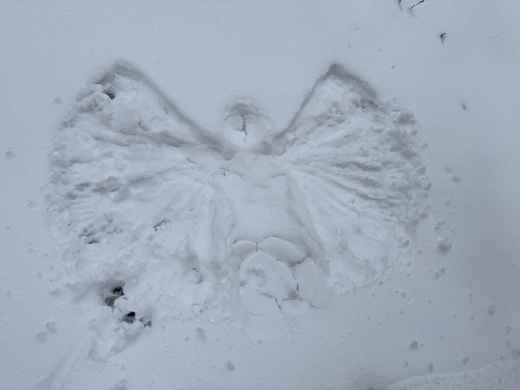 Freshly made snow angel imprinted in soft white snow along the descent from Tunnel Mountain Summit in Banff National Park, capturing a playful winter memory.