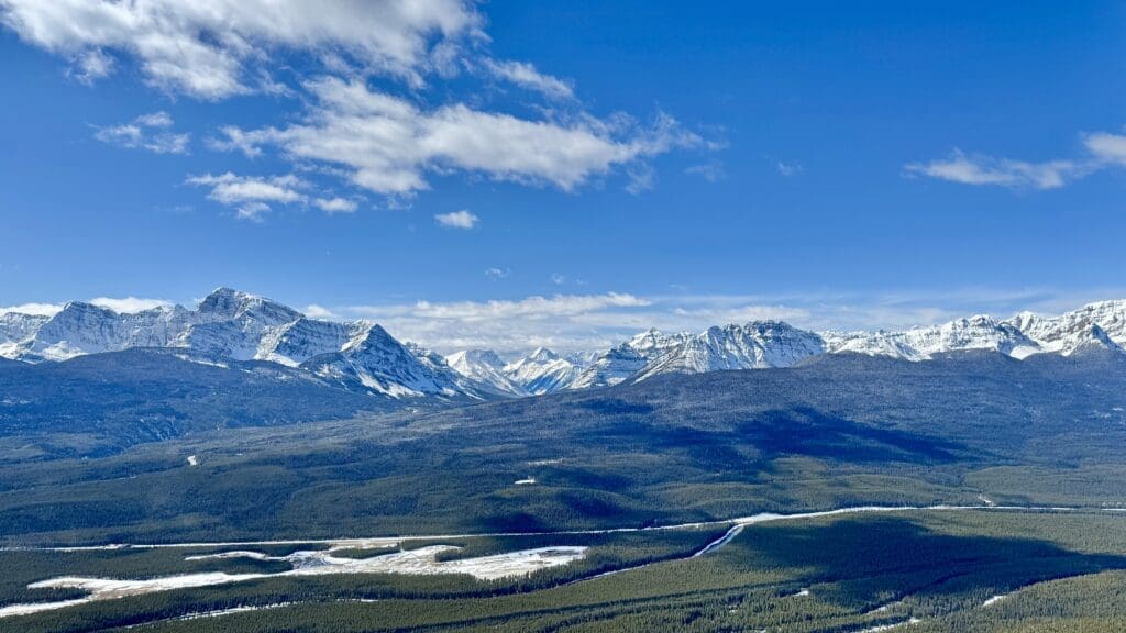 Sweeping panoramic view of snow-covered mountain ranges from near the top of Castle Lookout Trail in Banff National Park, with dense green forest below under a vivid blue sky.