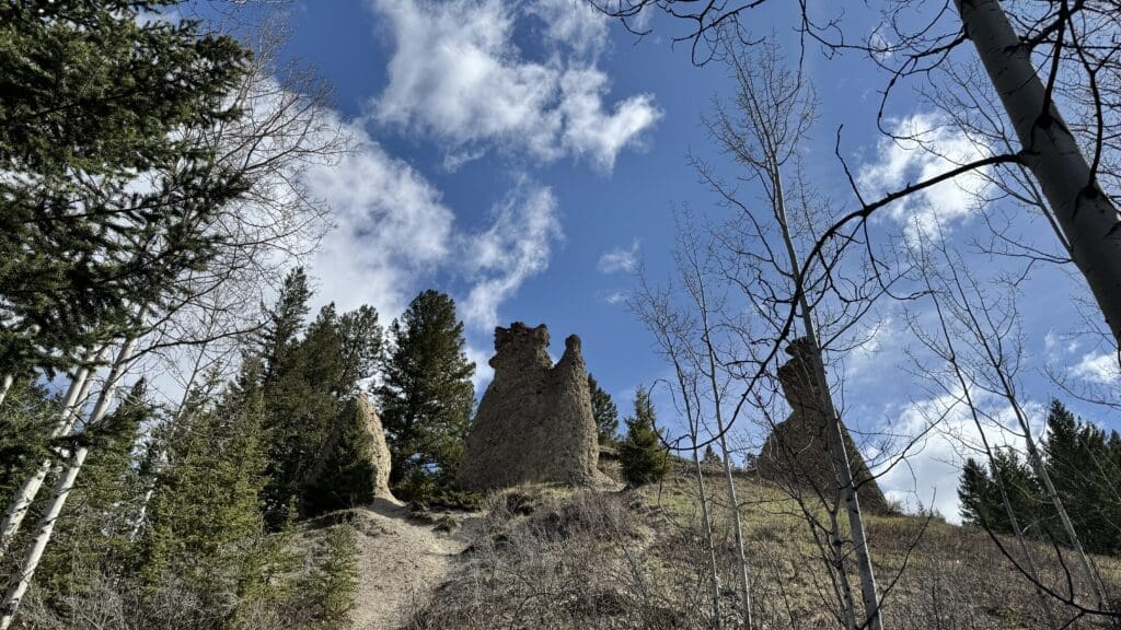 Unique hoodoo rock formations rising above the treeline at Benchlands Ridge Hoodoos Viewpoint in Canmore, Alberta, under a bright blue sky with scattered clouds.