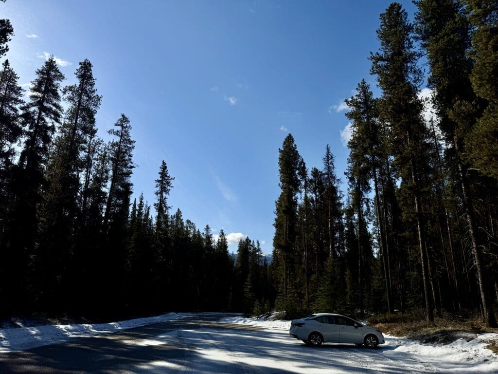 Castle Lookout parking area in Banff National Park, featuring a single car parked on snow-dusted pavement surrounded by towering evergreen trees under a bright blue sky.