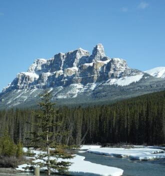Snow-capped Castle Mountain in Banff National Park, rising majestically above a dense forest of evergreen trees with a partially frozen river in the foreground under a clear blue sky.