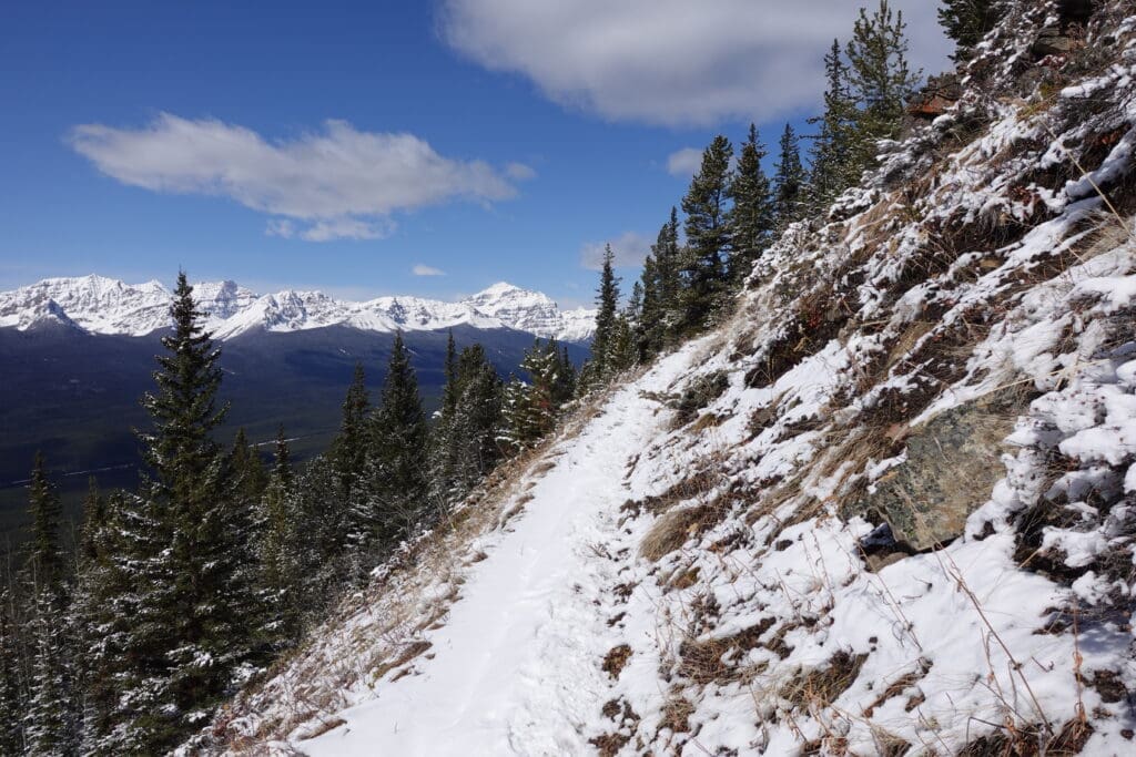 Narrow snow-covered trail hugging the hillside with a stunning backdrop of forested valleys and jagged snow-capped peaks along Castle Lookout Trail in Banff National Park.