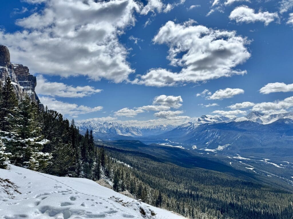 Panoramic winter view from Castle Lookout Trail in Banff, showcasing snow-covered pine forests, rugged Rocky Mountain peaks, and a dramatic blue sky filled with scattered clouds.
