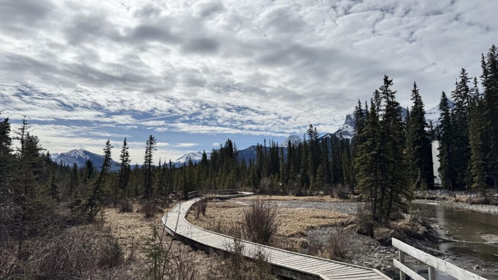 Winding wooden boardwalk of Policeman Creek Trail in Canmore, Alberta, surrounded by evergreen forest, with snow-capped Rocky Mountains under a dramatic sky