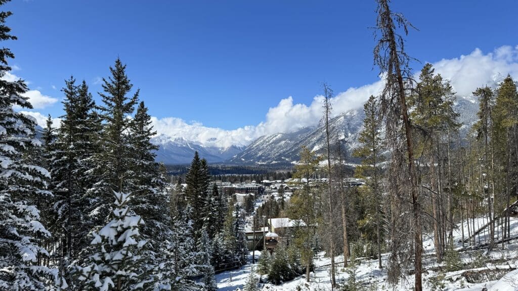 Scenic winter view from Tunnel Mountain Trail in Banff, Alberta, showcasing snow-covered pine trees, the town of Banff nestled below, and the surrounding Canadian Rockies under a clear blue sky.