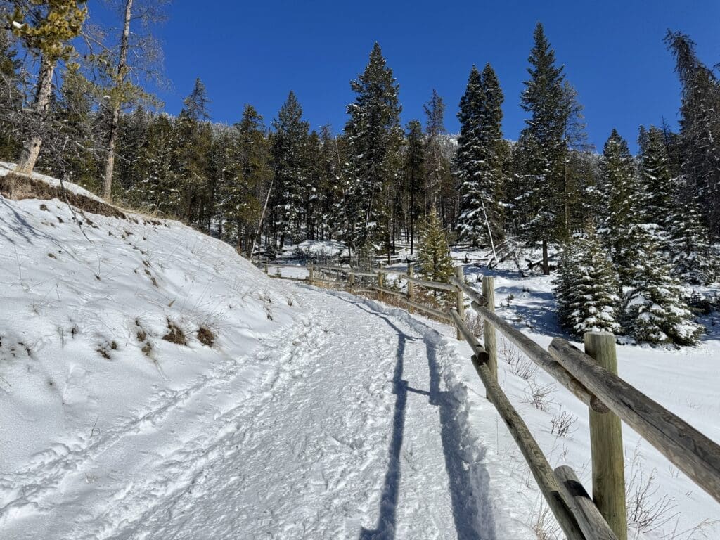 Snow-covered start of Tunnel Mountain Trail in Banff National Park, Alberta, lined with wooden railings and surrounded by pine trees under a clear blue sky—perfect winter hiking scenery.