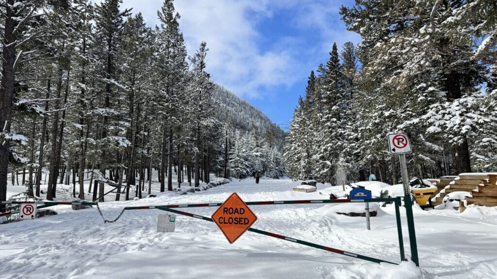 Tunnel Mountain Road closed during winter season in Banff, Alberta, with fresh snow covering the road, trees, and surrounding forest under a bright blue sky.