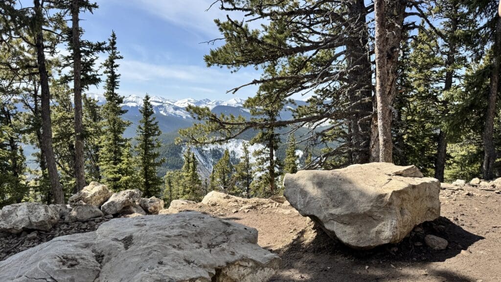 Mountain vista with pine trees, rocks, and snow-capped peaks in the background along Prairie Mountain Trail in Kananaskis