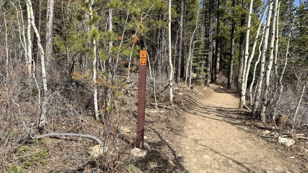 Trail marker for Prairie Mountain and Elbow Trail junction in forested area with dirt hiking path
