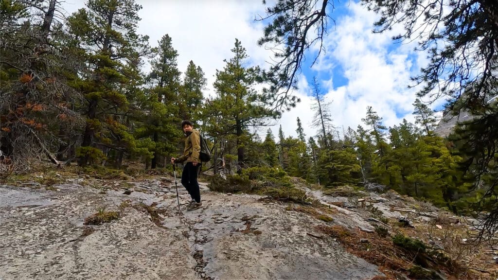 A person hiking with poles on a rocky trail to West Wind Pass in Kananaskis, Alberta in a forested mountain area, surrounded by evergreen trees under a partly cloudy blue sky. 