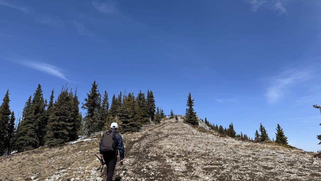 Hikers ascend a rocky mountain ridge along Prairie Mountain trail in Kananaskis on a sunny day with coniferous trees