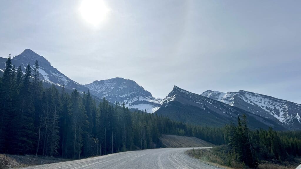 A winding road heading to West Wind Pass Trailhead in Kananaskis, Alberta leads to snow-capped mountains under a bright sun, with tall pine trees lining the path. 