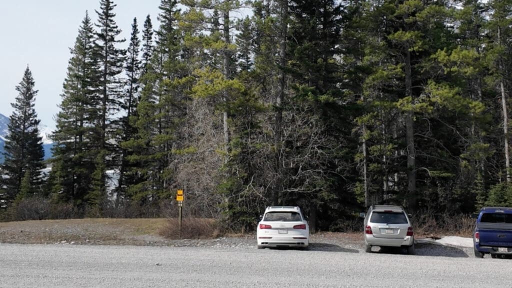 Three cars are parked aside the Windtower Rte. on a gravel area in front of a dense forest with evergreen trees. A yellow sign is visible near the trees. 