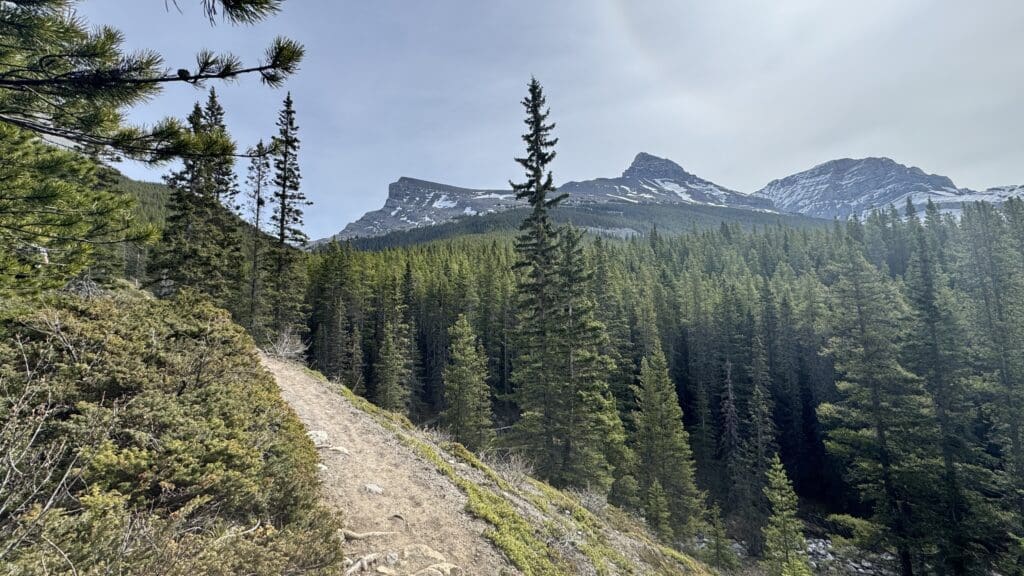 West Wind Pass Hike is Pets and Kids friendly.