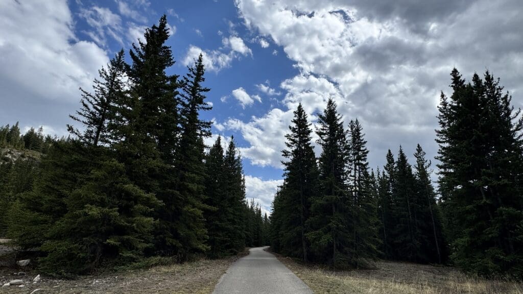 Paved Legacy Trail in Banff National Park winds through dense forest with towering evergreen trees under a partly cloudy blue sky