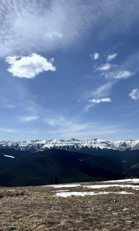 Panoramic view from Prairie Mountain summit in Kananaskis Alberta Canada showcasing snow capped peaks dense evergreen forests and wide open blue sky in the Canadian Rockies