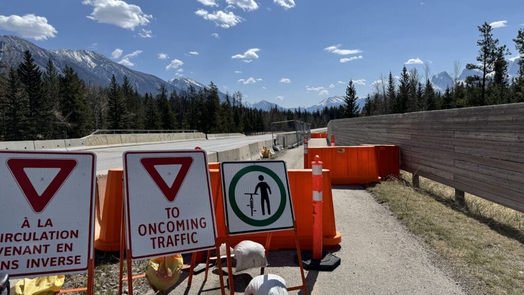 Short road construction section on Legacy Trail with bright orange barriers line the path with bilingual traffic signs warning of oncoming traffic, snowy peaks and pine trees are visible under a clear blue sky