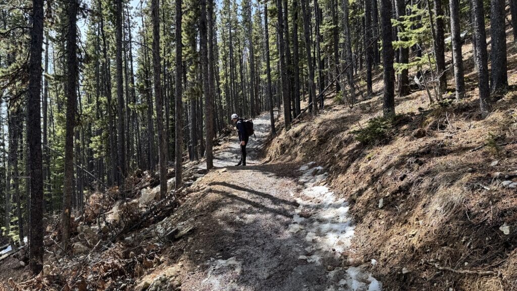 Hiker with backpack on the icy Prairie Mountain Trail in Kananaskis winding through a spring forest with patches of snow.
