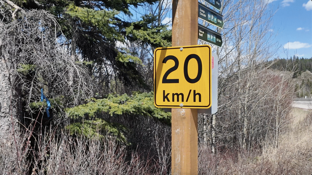 A yellow speed limit sign on Legacy Trail in Banff National Park indicating 20 km/h is mounted on a wooden post against a backdrop of trees and a clear blue sky