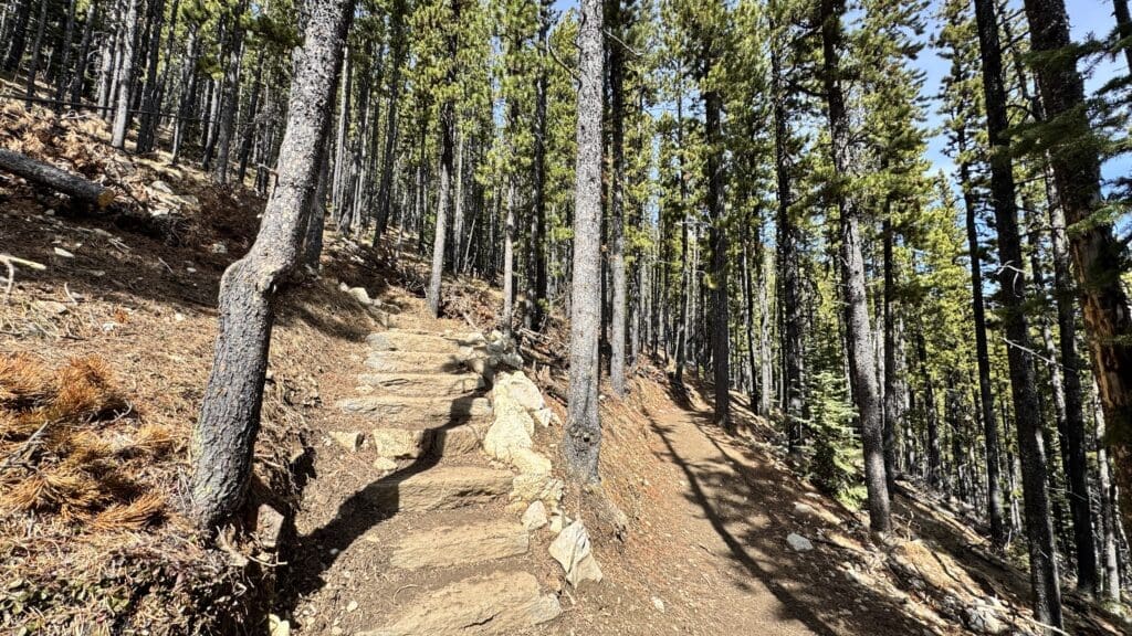 Forest trail with stone steps ascending a hillside, lined with tall pine trees along Prairie Mountain Trail in Kananaskis