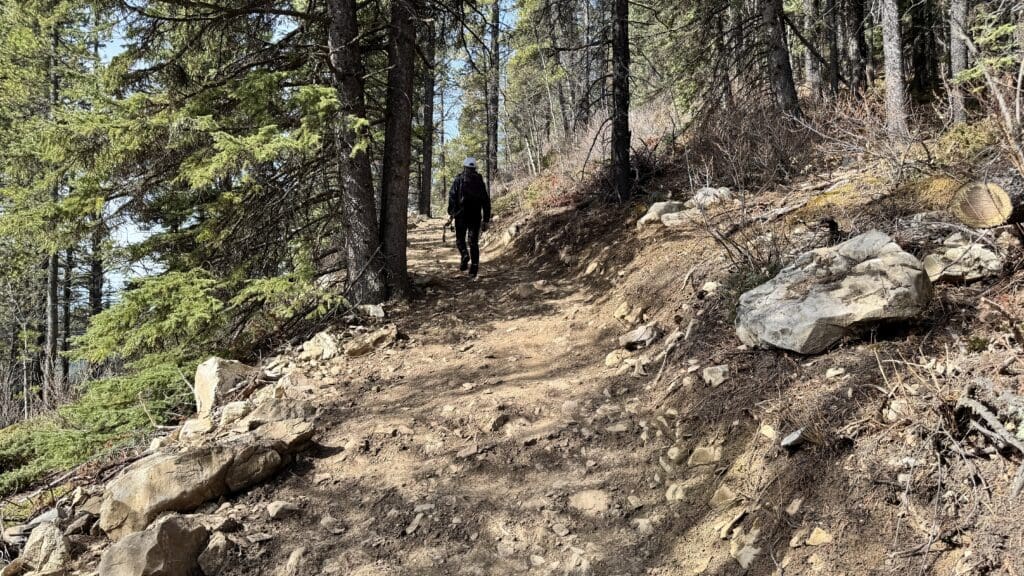 Hiker ascending a steady incline on Prairie Mountain Trail through dense forest with rocky terrain