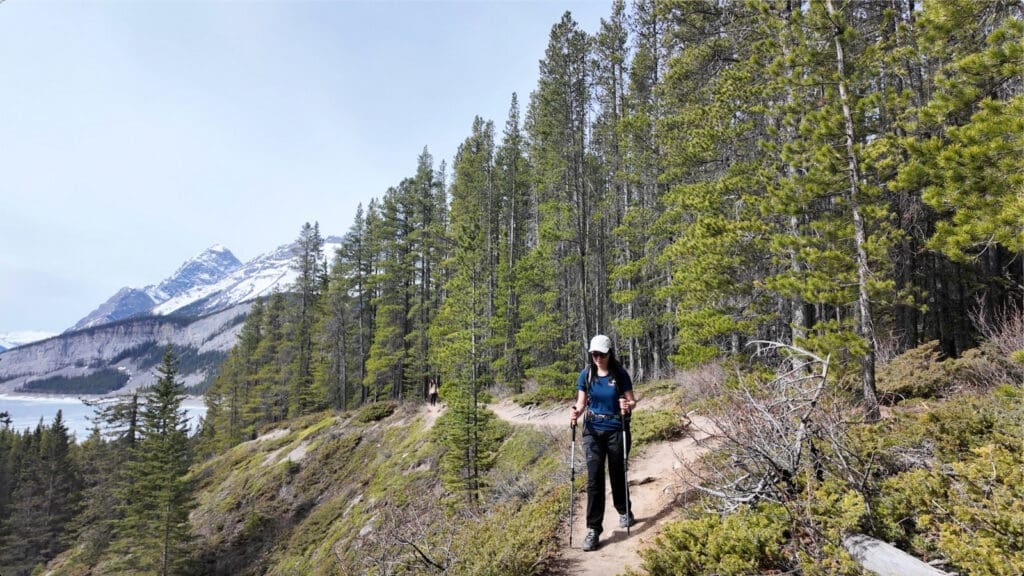 A hiker with poles walks along a forested mountain trail to West Wind Pass in Kananaskis, Alberta. Snow-capped peaks rise in the background under a clear sky, evoking a sense of adventure.
