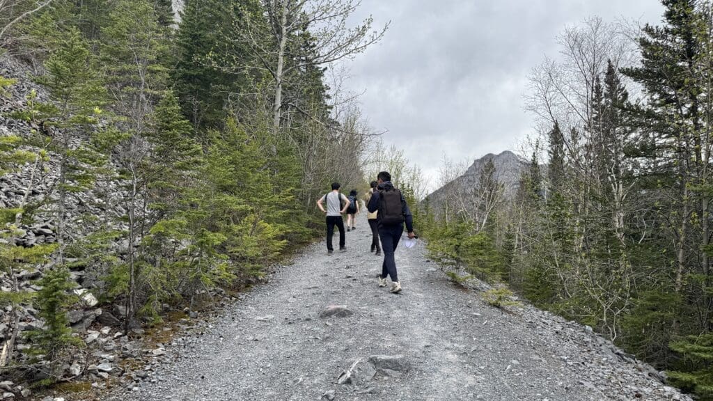 Three people are hiking uphill on a gravel path to Heart Creek Bunker in Kananaskis, Alberta surrounded by dense trees, leading to a rocky mountain under an overcast sky