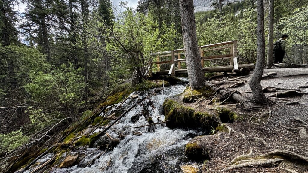 A serene forest scene features a wooden bridge over a small cascading waterfall surrounded by lush greenery. A lone hiker walks on the path of Grassi Lakes Trail in Kananaskis, Alberta