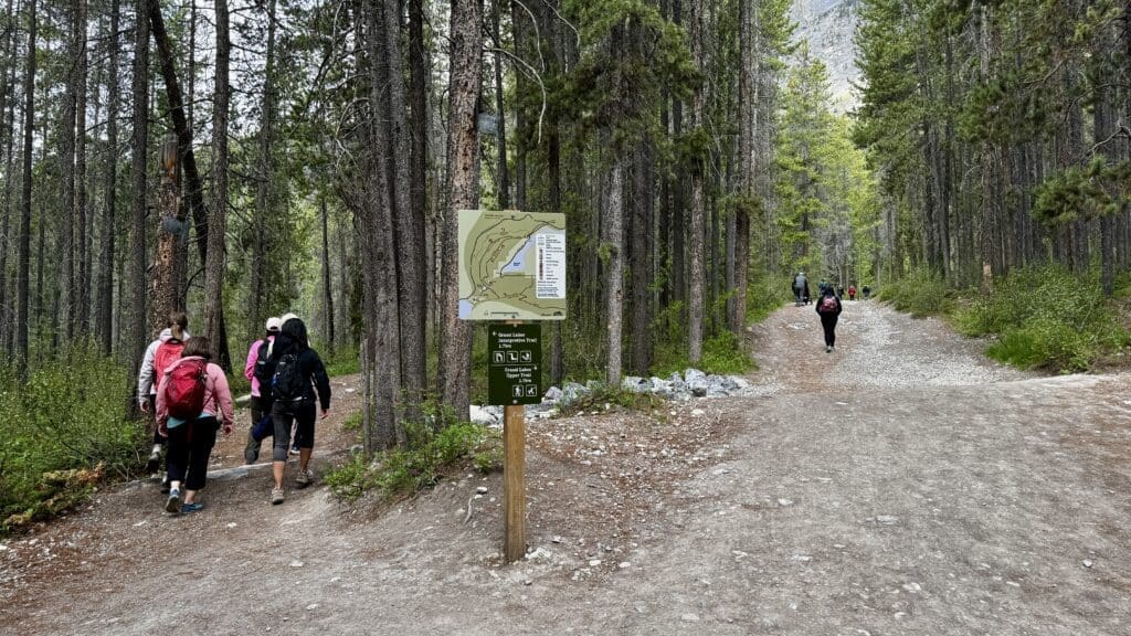 Hikers walk on a forest trail, surrounded by tall pine trees. A trail sign with a map stands in the center, indicating two different paths of Grassi Lakes Trail in Kananaskis, Alberta ahead.