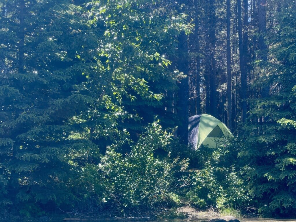 A green tent nestled among tall trees in a sunlit forest at Two Jack Lakeside Campground in Banff National Park, Alberta. The lush greenery and dappled sunlight create a serene and peaceful atmosphere.