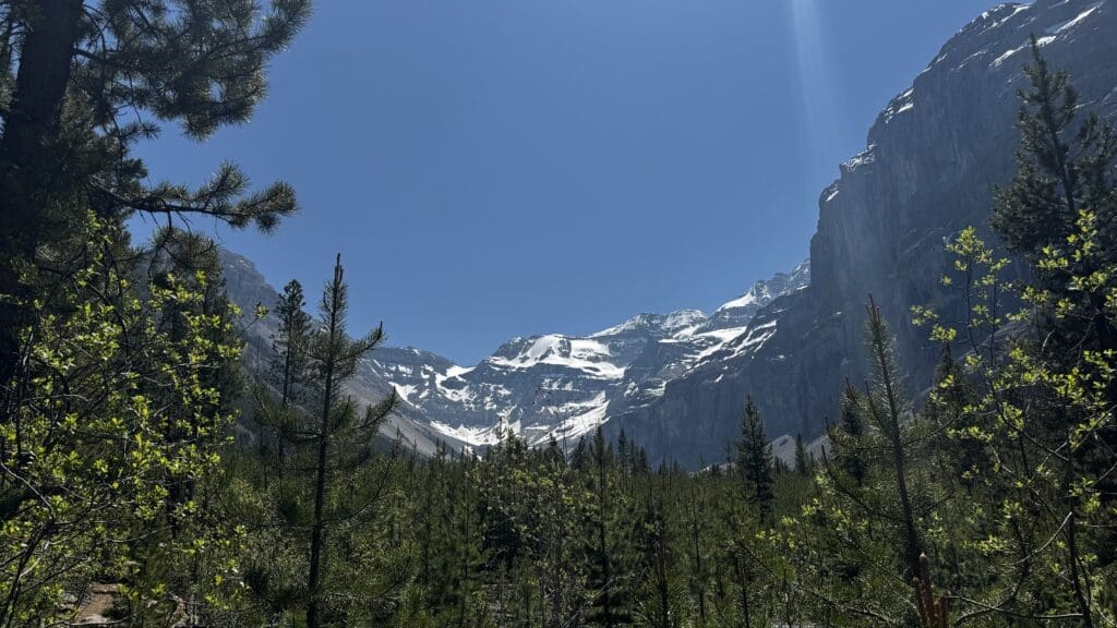 Majestic snow-capped Stanley Glacier in Kootenay National Park, BC under a clear blue sky, framed by pine trees and lush greenery. The scene conveys a peaceful, awe-inspiring wilderness.