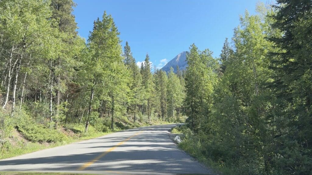 Lake Minnewanka Scenic Drive in Banff National Park, Alberta leads through a lush forest with tall greenery, sunlit leaves, and shadows. A mountain peak is visible under a clear blue sky. Peaceful scene.
