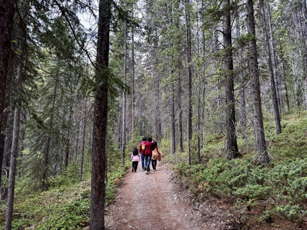 A family walks along the forest Grassi Lakes trail in Kananaskis, Alberta surrounded by tall pine trees, conveying a peaceful and serene mood. The path is narrow and lined with soft greenery.