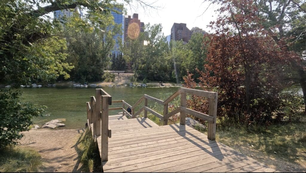 A wooden ramp in Prince's Island Park in Calgary, Alberta leads to the serene Bow River, bordered by lush trees with buildings visible in the background. The scene exudes a peaceful, natural vibe.