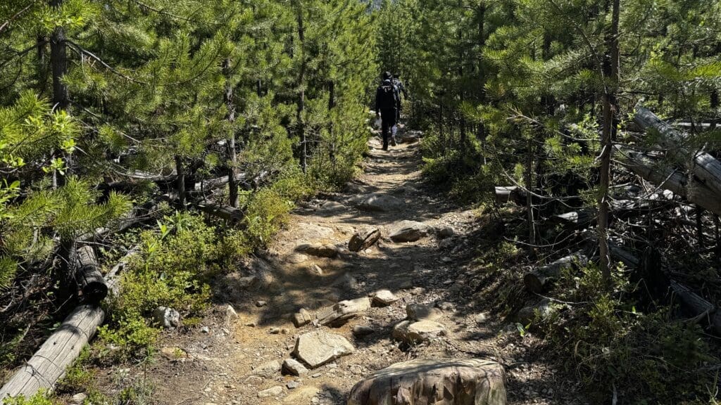 A hiker wearing a black outfit walks along a narrow, rocky forest Stanley Glacier Trail in Kootenay National Park, BC surrounded by lush green pine trees under bright sunlight.