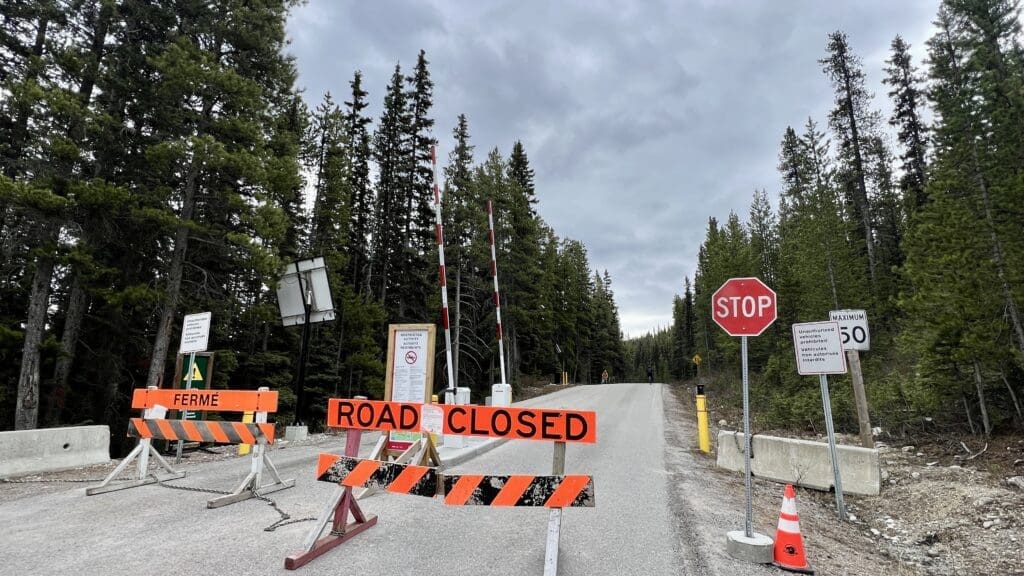 Road closed at Moraine Lake Road with barriers marked "ROAD CLOSED" and "FERMÉ," set against a backdrop of tall pine trees and a cloudy sky. A stop sign and several informational signs are visible, conveying a restrictive, cautionary tone.