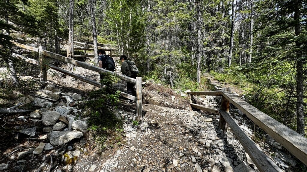 Two hikers walk up the rocky, wooded Grassi Lakes Trail in Kananaskis, Alberta bordered by a rustic wooden fence. Tall trees surround them