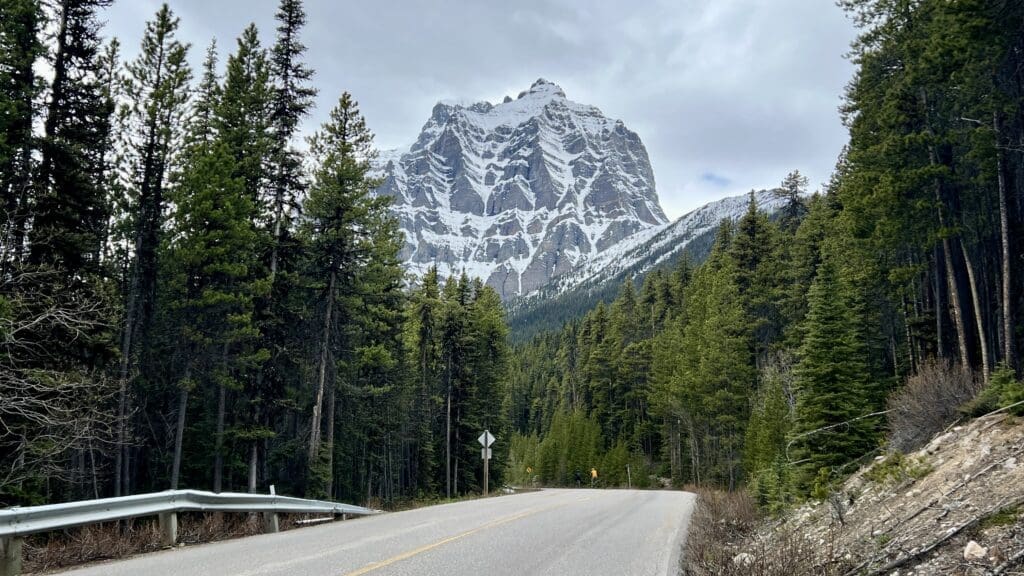 A winding Moraine Lake Road lined with tall evergreen trees leads to a snow-capped Mount Temple under a cloudy sky, conveying a serene and majestic scene.