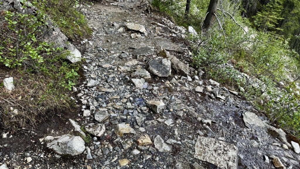 Stream along rocky Grassi Lakes trail in Kananaskis, Alberta with scattered stones and puddles, bordered by lush green bushes and trees. The scene conveys a rugged, natural setting.