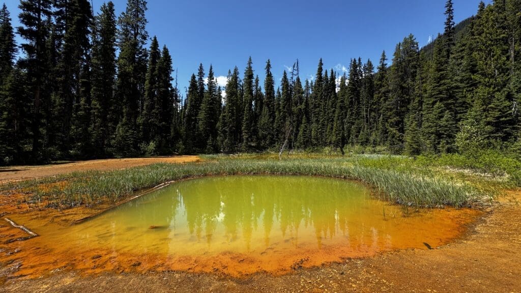 One of the Paint Pots, in Kootenay National Park, BC features a vibrant green pond bordered by orange soil sits in a forest clearing, surrounded by tall pine trees under a clear blue sky, evoking tranquility.