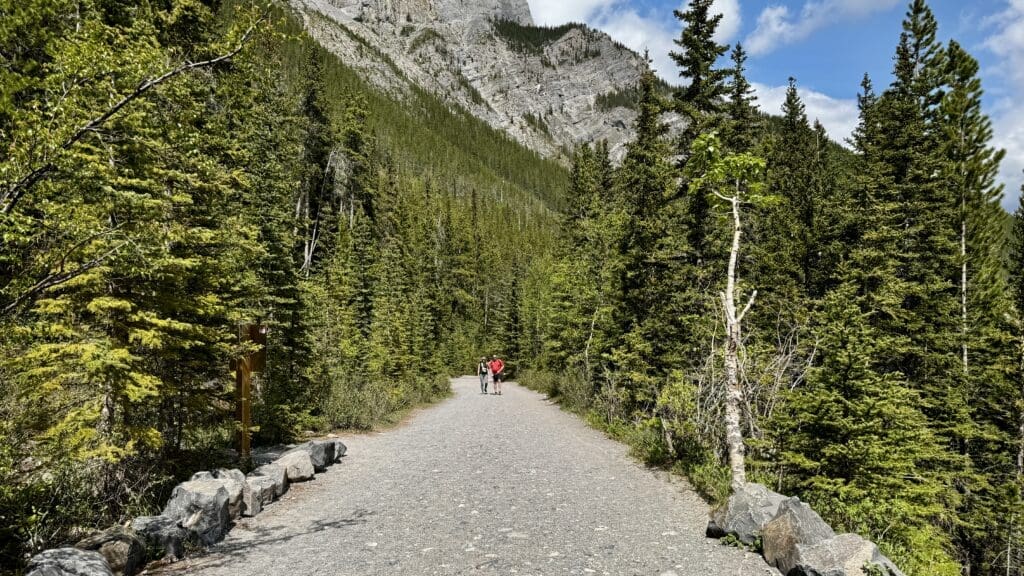 A scenic mountain path of Grassi Lakes Trail in Kananaskis, Alberta flanked by lush evergreen trees under a clear blue sky. Two people walk together in the distance.