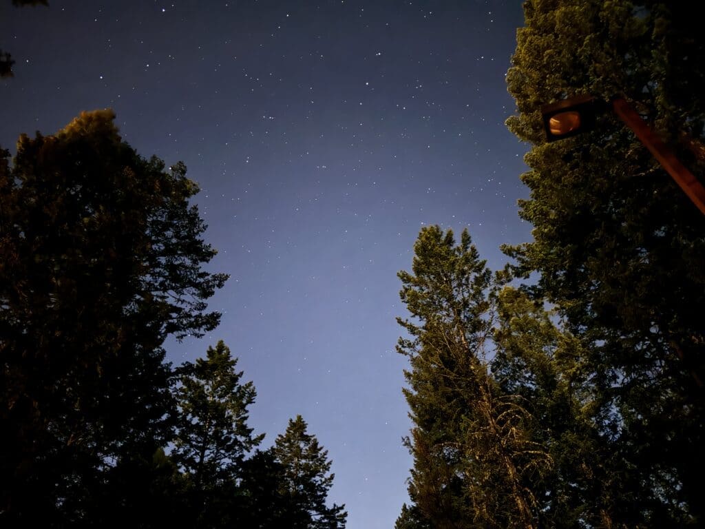 Starry night sky at Redstreak Campground in Radium, BC framed by tall evergreen trees, capturing a sense of tranquility and wonder. A streetlamp glows softly on the right side.
