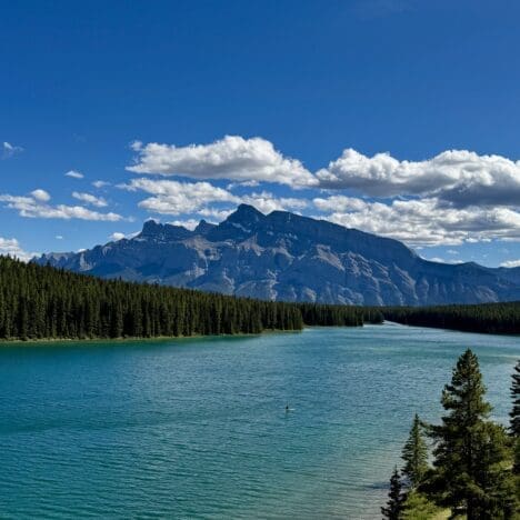 Stanley Glacier Trail Guide: Fossils in Kootenay National Park