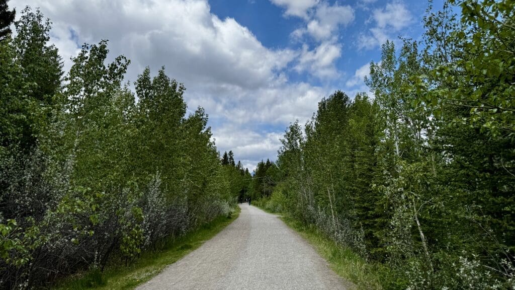 A serene path of Bow River Loop in Canmore, Alberta bordered by lush green trees under a partly cloudy blue sky. The pathway invites exploration, conveying tranquility and natural beauty.