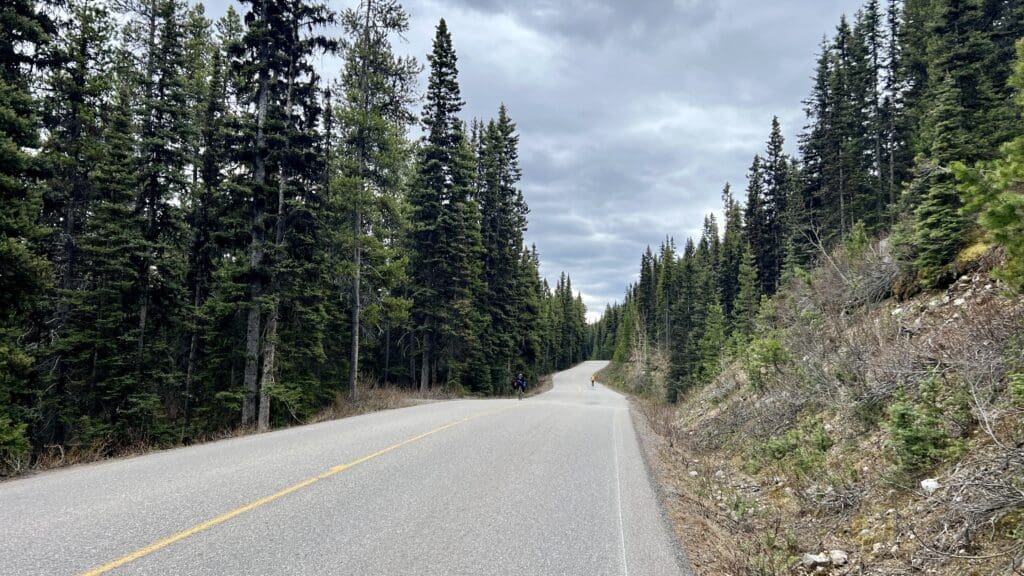 Curving Moraine Lake Road in Banff National Park through dense, tall pine forest under a cloudy sky; two cyclists ride ahead, one in yellow, creating a serene, adventurous mood.