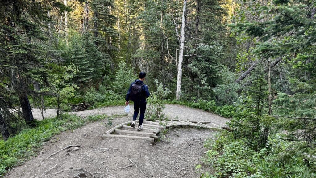 A person with a backpack walks down the Fullerton Loop in Kananaskis, Alberta surrounded by lush green trees. The scene is peaceful and serene, evoking a sense of adventure.