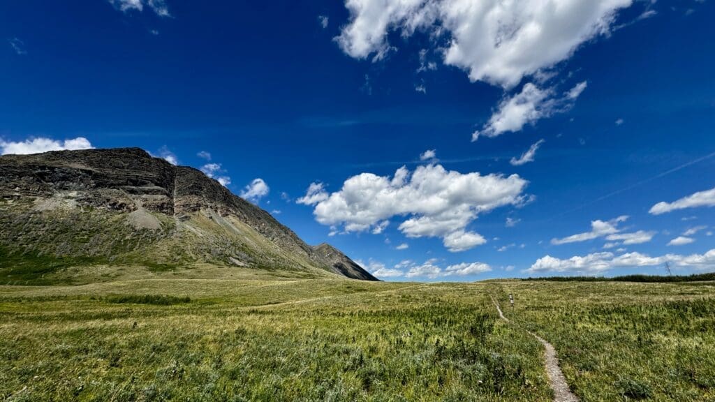 A rugged mountain under a bright blue sky with fluffy white clouds. A narrow dirt Bellevue Prairie Trail in Waterton Lakes National Park, Alberta winds through a vast green meadow, evoking a sense of serenity.