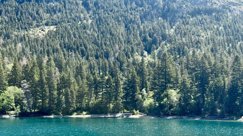 Serene mountain lake with turquoise waters reflects sunlight, bordered by dense evergreen forest. A small dock which is the Crypt Lake Trailhead in Waterton Lakes National Park, Alberta is visible amid the trees, evoking tranquility.
